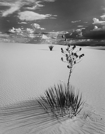 White Sands, NM (2)