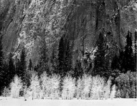 El Capitan Meadow, Yosemite NP