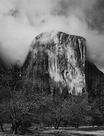 El Capitan, Clouds, Yosemite Valley, CA