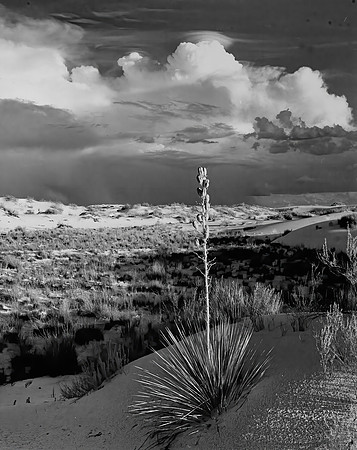 White Sands, Evening