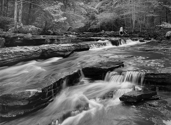 Fiery Gizzard trail, TN