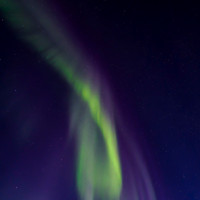 Northern Lights #4, 2016