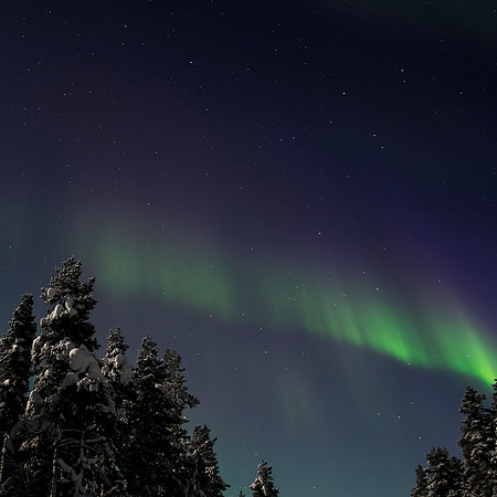 Northern Lights #5, 2016