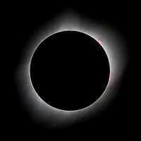 Prominences, Total Solar Eclipse 2017