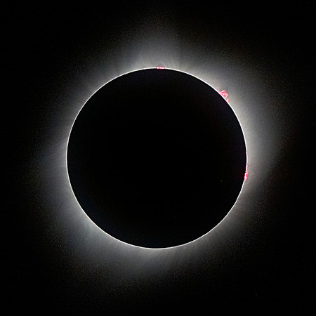 Prominences, Total Solar Eclipse 2017