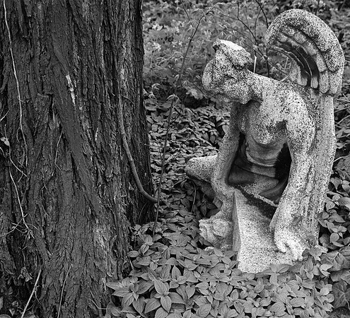 "Kerepesi Temetö" (Kerepesi Cemetery), Budapest, Hungary