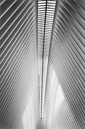 Oculus and One WTC, NYC