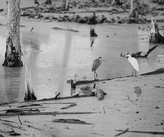 Meeting on the water