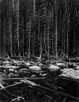 Dream Lake, Rocky Mountain NP