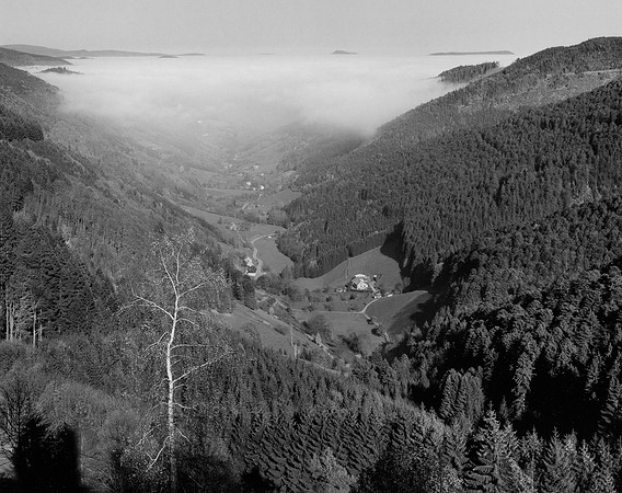 The Vosges Mountains, Alsace, France