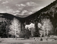 Horseshoe Park #2, Rocky Mountain NP