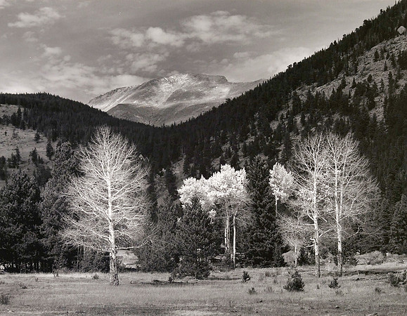 Horseshoe Park #2, Rocky Mountain NP